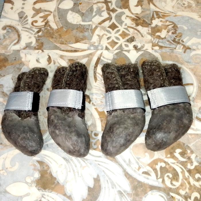 Взуття (валянки) розмір L  для собаки породи пудель, пінчер, італійський тхір, китайська чубатка.